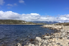 Hardangervidda Norwegen Hochebene