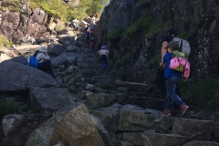 Preikestolen Norwegen