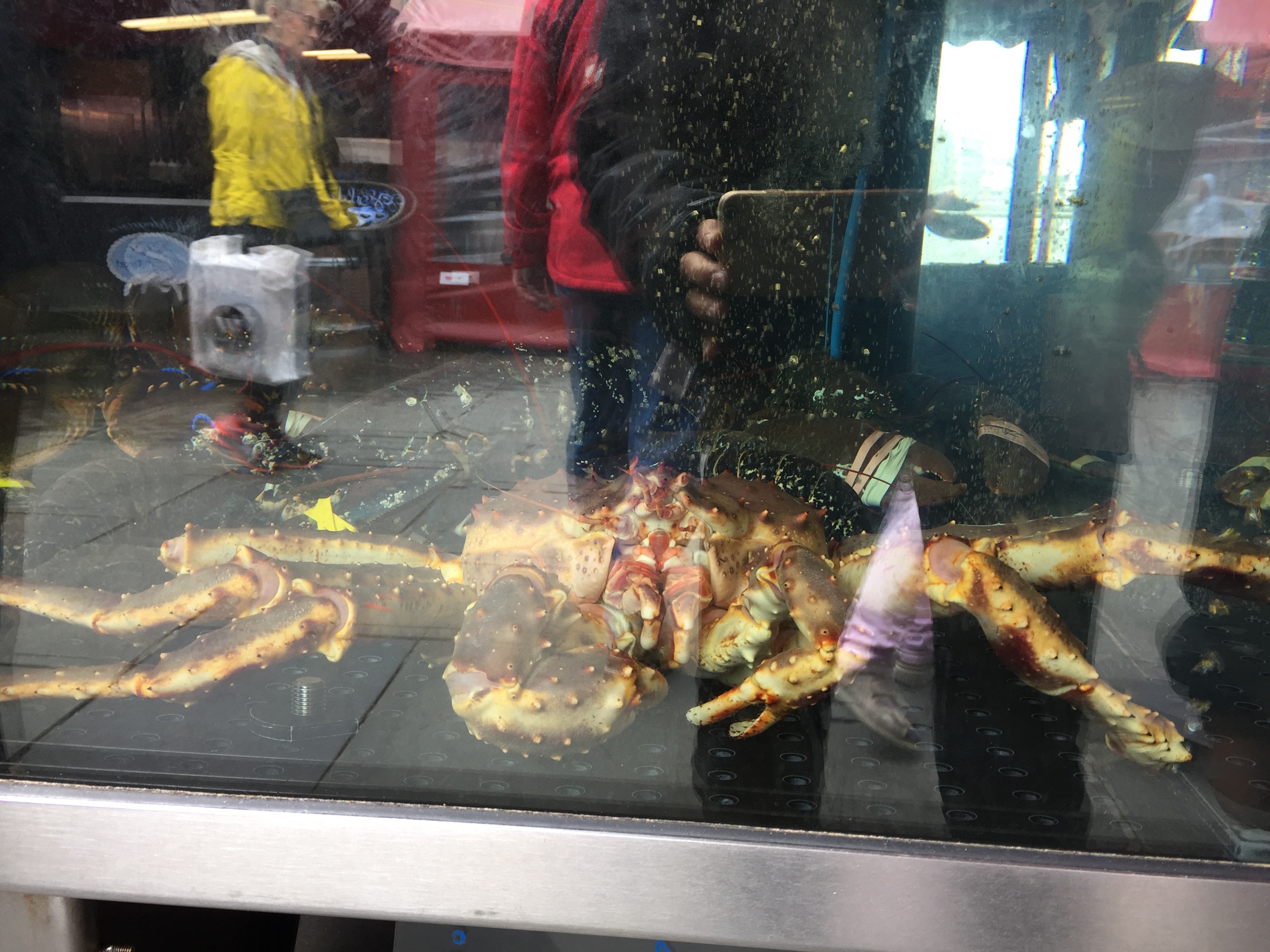 Bergen Norwegen Fischmarkt