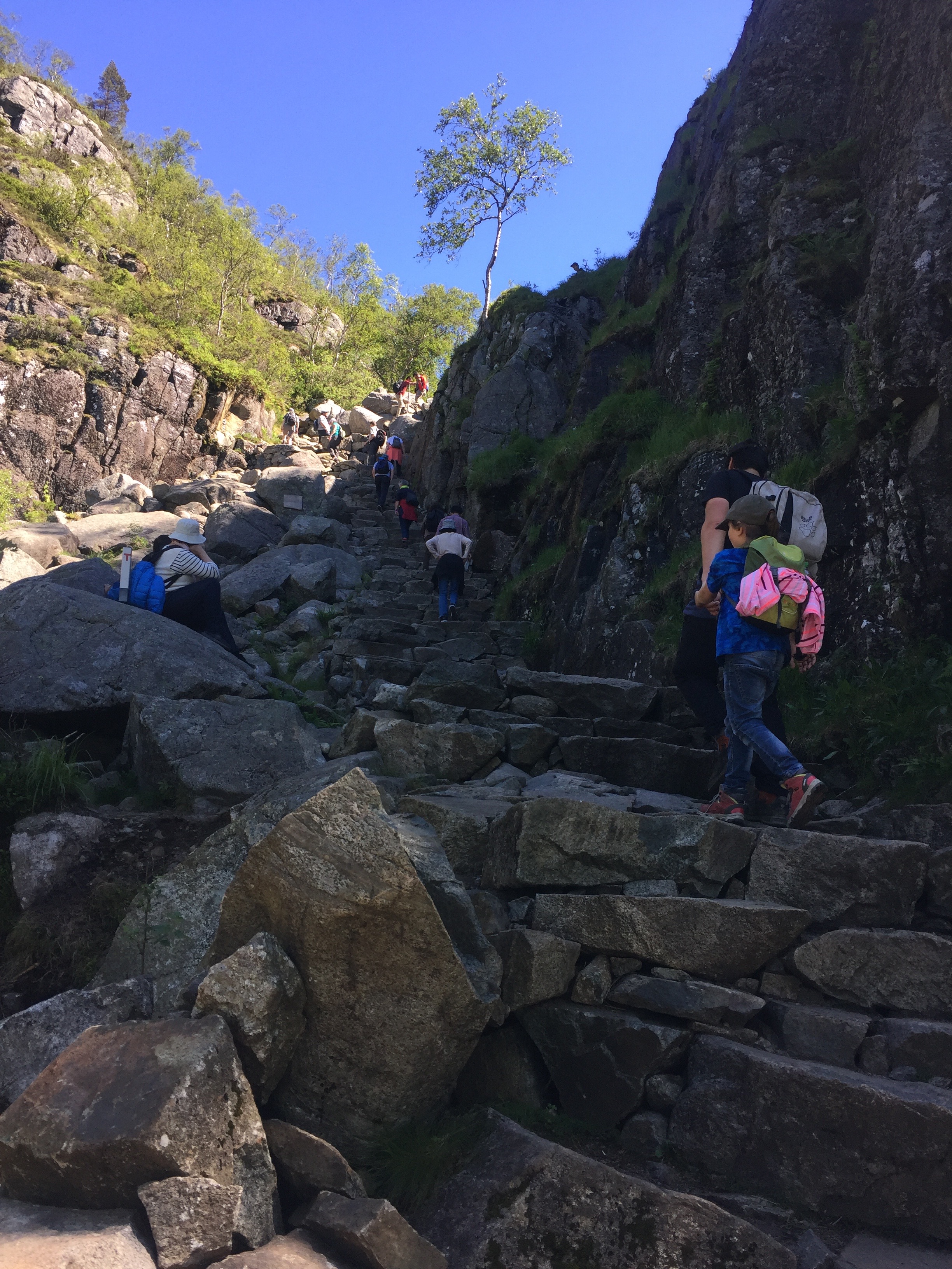 Preikestolen Norwegen