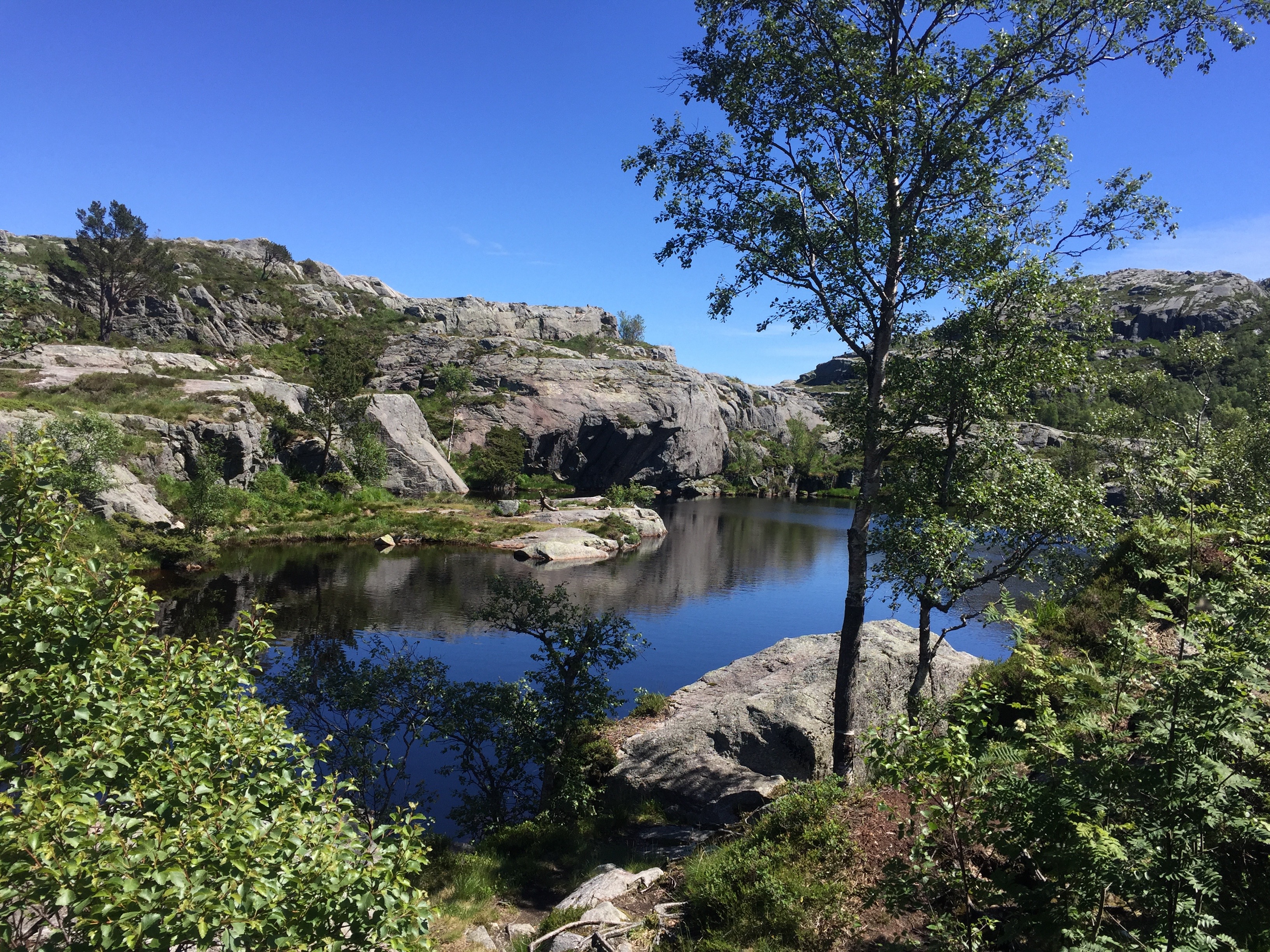 Preikestolen Norwegen